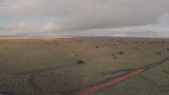 Elephant sighting while on wildlife safari in Laikipia, Kenya. Aerial drone view