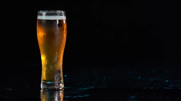 Glass of Golden Craft Beer with White Foam and Moving Bubbles Isolated at Black Background