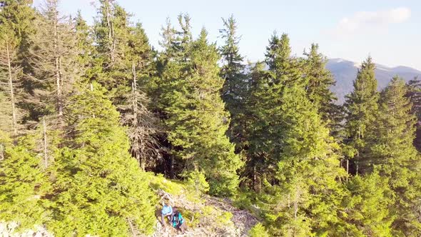 Wonderful Landscape From a Bird's Eye View