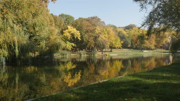 Morning sun and reflections on the pond water  3840X2160 UltraHD tilting footage - Colorful nature b