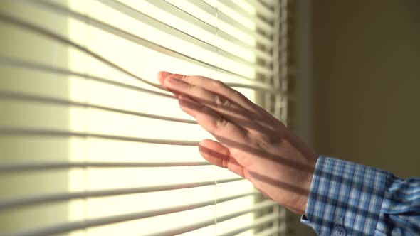 Hand Opens The Blinds In The Office