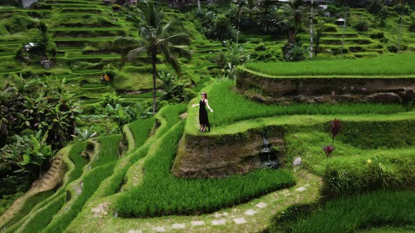 Young Woman in Black Dress Epic in Rice Terrace