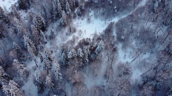 Winter Landscape Aerial view