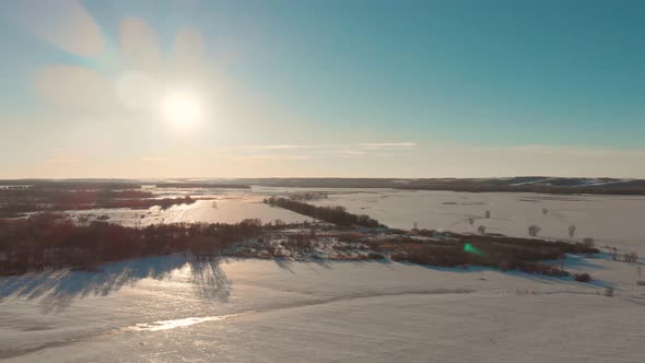 Aerial View of the Winter Forest on Background of Sundown.