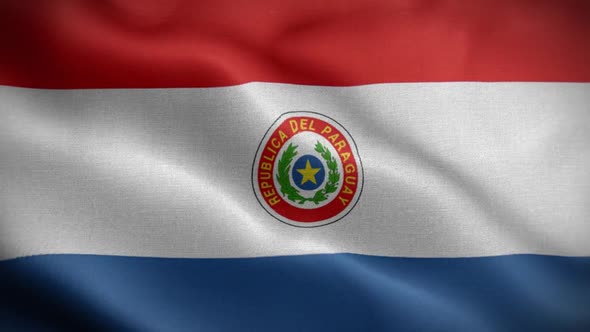 Paraguay Flag Loop