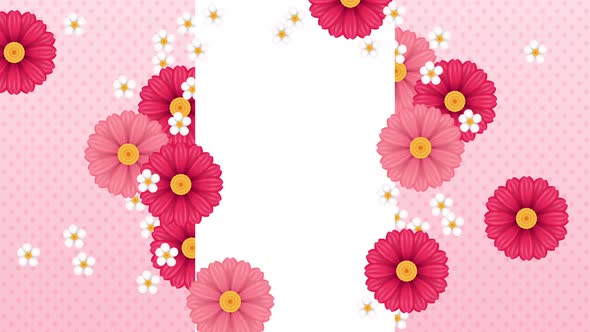 Pink Flower Spring Background Animation