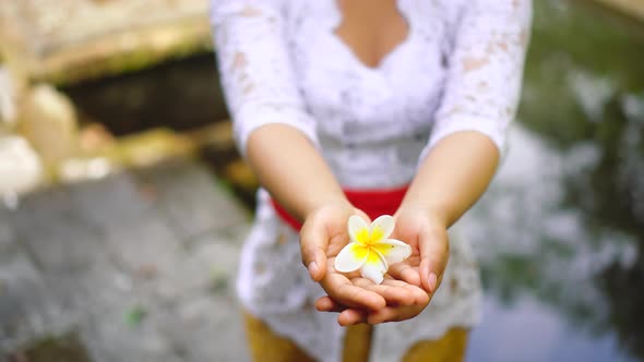 Asian unrecognizable girl gives a lotus flower. Hands reach out hold offering. Balinese local woman