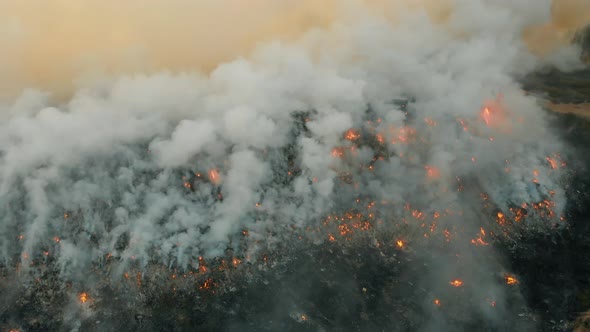 Top Aerial View at Fire at Garbage Dump, Burning Pollutes the Environment, Ecological Catastrophe