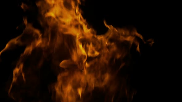 Fire on a Black Background alt