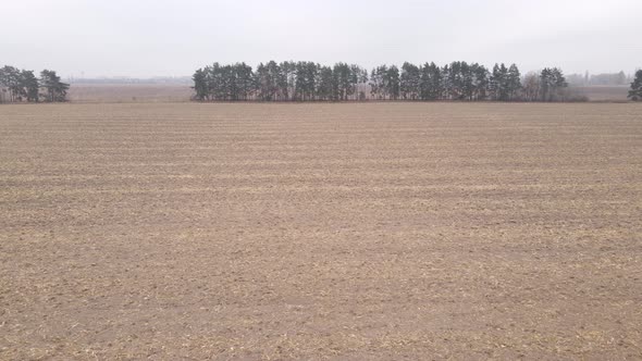 Land in a Plowed Field in Autumn