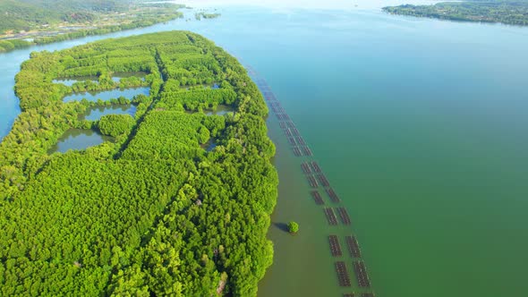 An island-shaped mangrove forest in the middle of a river mouth near the sea.