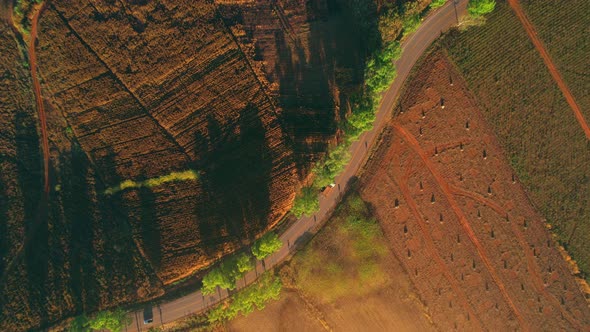 4K : Aerial view of farm during sunrise in Thailand. Harvest season.