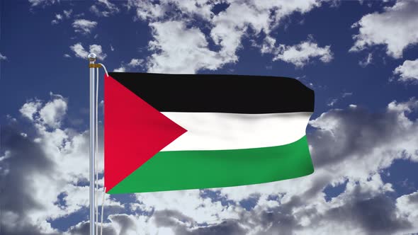 Palestine Flag Waving 4k