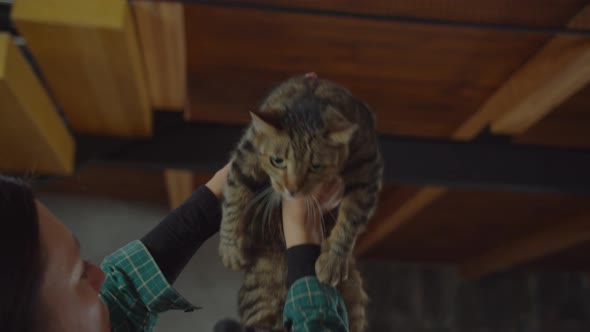 Woman Raising Up Scared Domestic Tabby Cat at Home