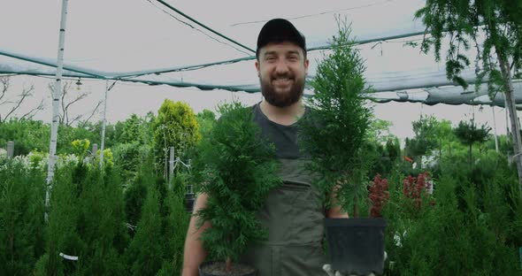 Male Gardener Standing with Potted Thujas