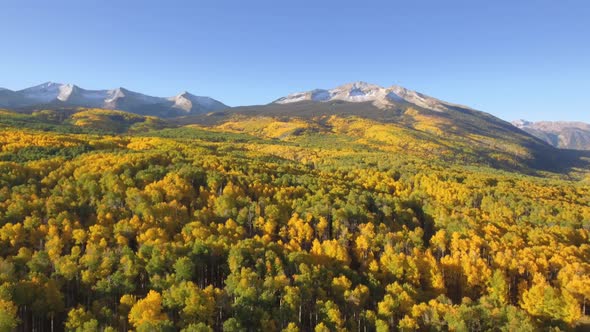 Fall colors in Crested Butte, Colorado