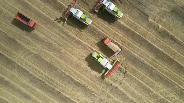 Vertical Aerial View Modern Harvesters and Orange Trucks