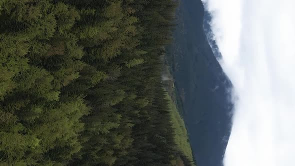 Vertical Video Carpathian Mountains