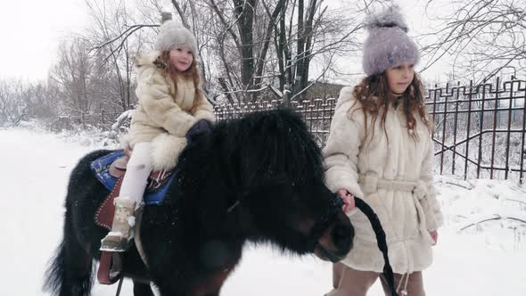 Winter Horse Ride