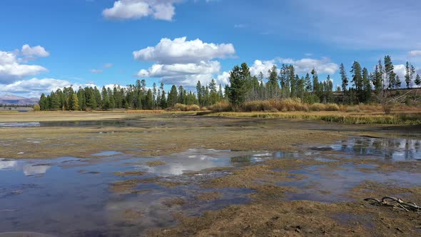 Slowly moving over the water at the edge of Hebgen Lake