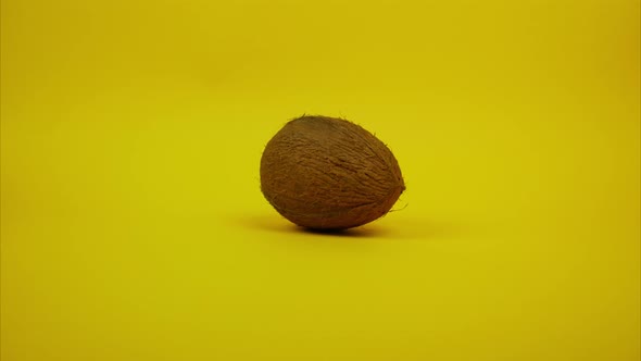 Whole Coconut Isolated on Yellow Background, Spinning and Moving Away. Stop Motion