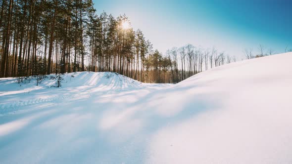 Time Lapse Timelapse Timelapse Of Sunlight And Moving Shadows On Forest Snow