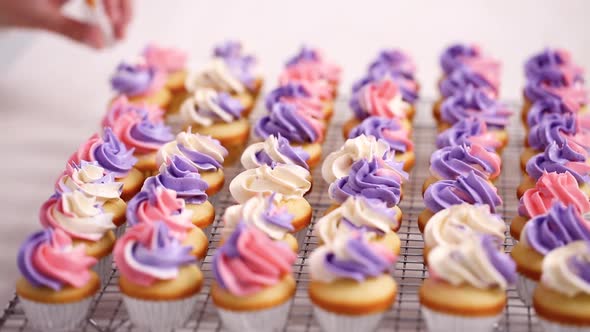 Time lapse. Piping pink and purple buttercream frosting on small vanilla cupcakes.
