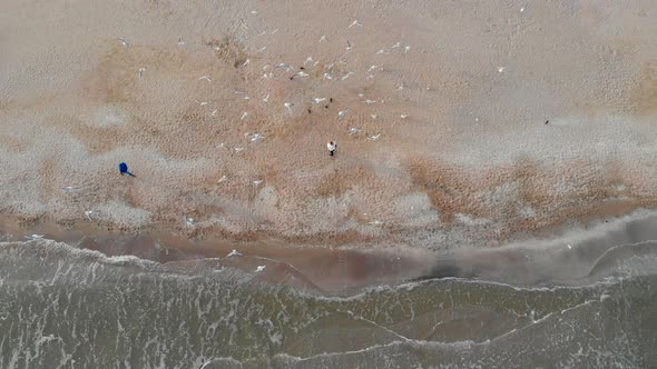 Seagulls and Woman