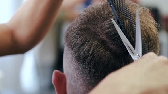 Closeup of Process of Cutting Hair with Scissors in Beauty Salon