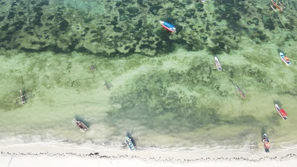 Boats in the Ocean Near the Coast of Zanzibar Tanzania Slow Motion