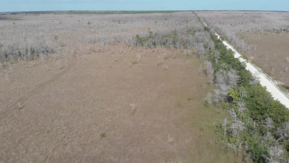 loop road florida everglades big cypress swamp establishing shot aerial drone tilt reveal horizon