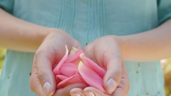 Pink Rose Petals in Female Hands