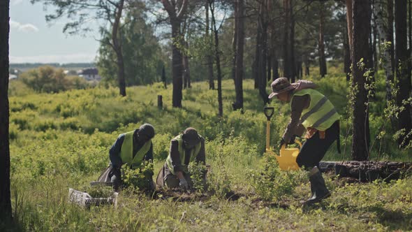 Watering Plants in Forest