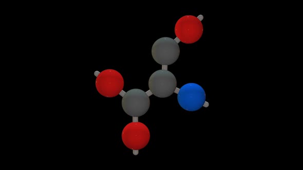 L-serine - Amino acid model