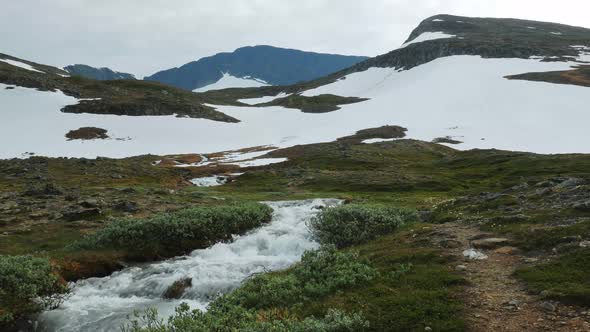 Narrow Stream Flowing Through Lush Fields At The Feet Of Helagsfjallet (Mountain Of Helags) In Harje