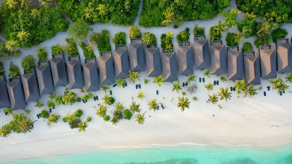 Beach bungalows and palms at Kuredu Island, Maledives