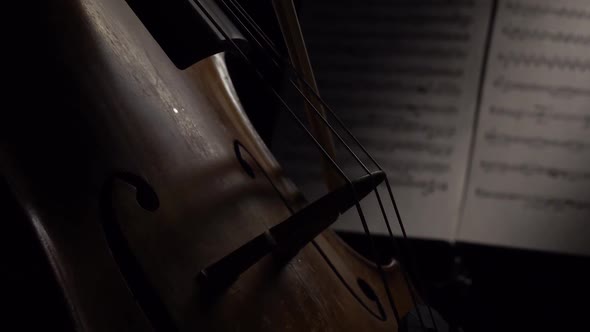 Cello in the Dark Bow Bow on the Strings Behind the Notes. Close Up. Side View