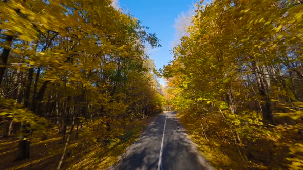 Smooth Fast Flight Close to Branches of Trees Along the Road