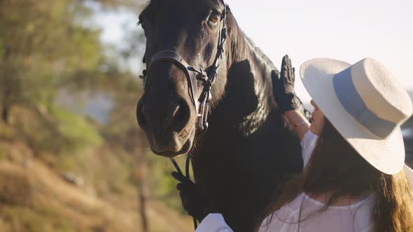 Beautiful Horse Looking at Camera As Woman Patting Neck in Slow Motion