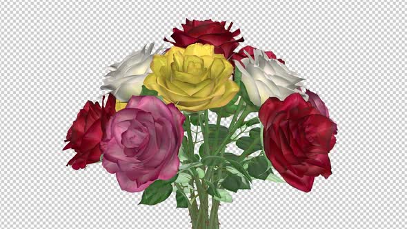 Rose Bouquet - Colorful Flowers - Spinning Loop - 4K MS alt