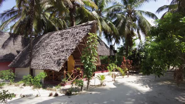 An African Hotel with Tall Palm Trees and Thatched Bungalows Zanzibar