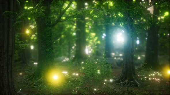 Firefly Flying in the Forest