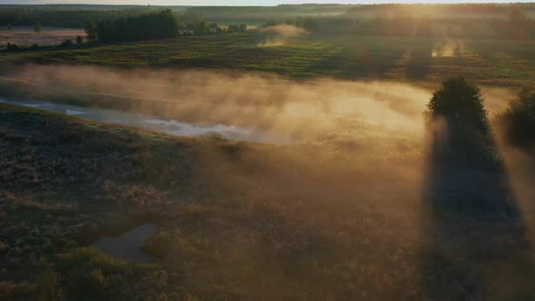 Foggy morning in the countryside