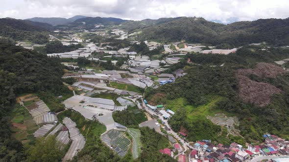 Cameron Highlands, Pahang Malaysia