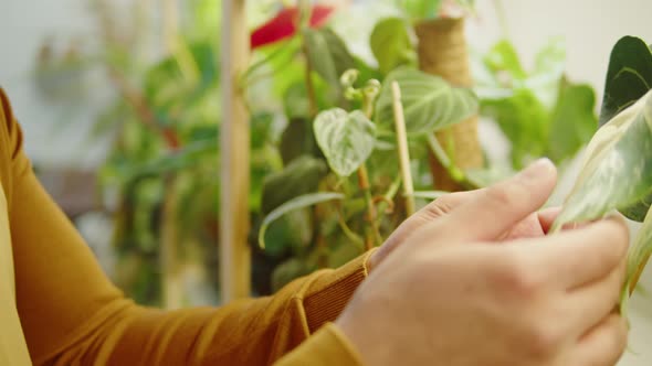 Florist Working in Botanical Garden