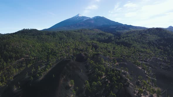 Incredible Aerial Views of Lava Forests in Teide Volcano National Park