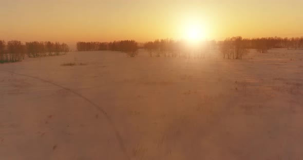 Aerial Drone View of Cold Winter Landscape with Arctic Field Trees Covered with Frost Snow and