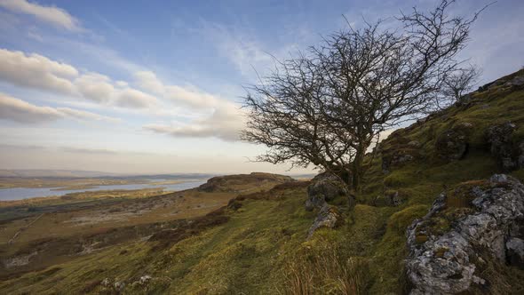 Time lapse of rural and remote landscape of grass, trees and rocks during the day in hills of Carrow