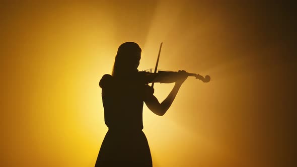 Silhouette of a Charming Girl Violinist in a Long Dress