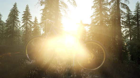 Bicycle in Mountain Forest alt
